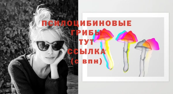 стаф Михайловка