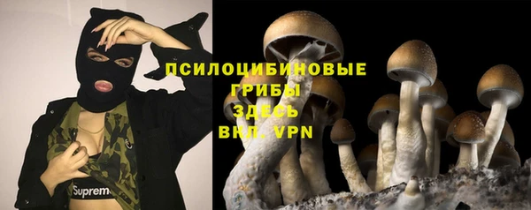 дживик Михайловск