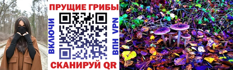 KRAKEN зеркало  Тарко-Сале  Псилоцибиновые грибы Magic Shrooms 